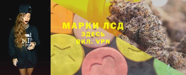 прущие грибы Кодинск