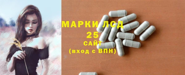 прущие грибы Кодинск