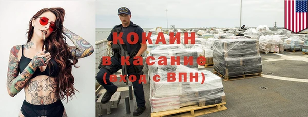 прущие грибы Кодинск