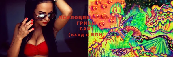 прущие грибы Кодинск