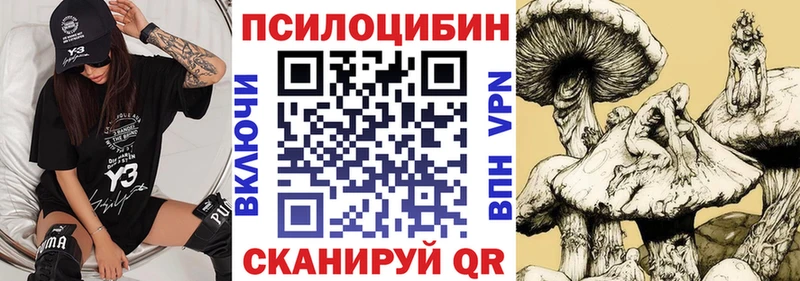 Псилоцибиновые грибы Cubensis  Миллерово 