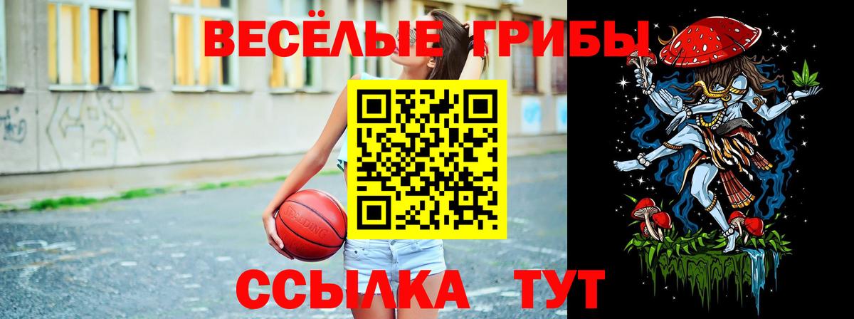 Галлюциногенные грибы Cubensis Миллерово